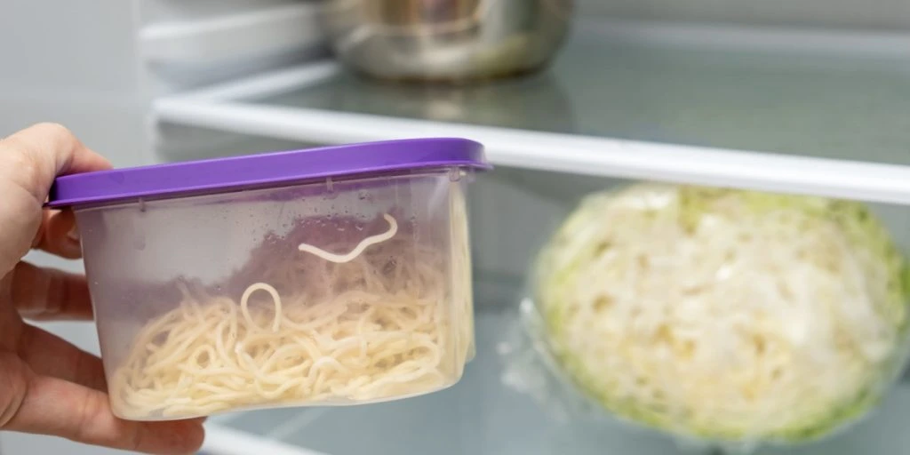 Mad, fryser, leftover