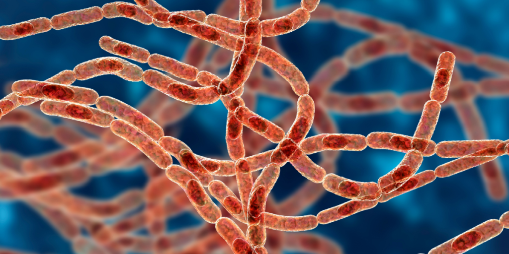 Sie kennen Tschernobyl – aber kennen Sie den Swerdlowsk-Zwischenfall?