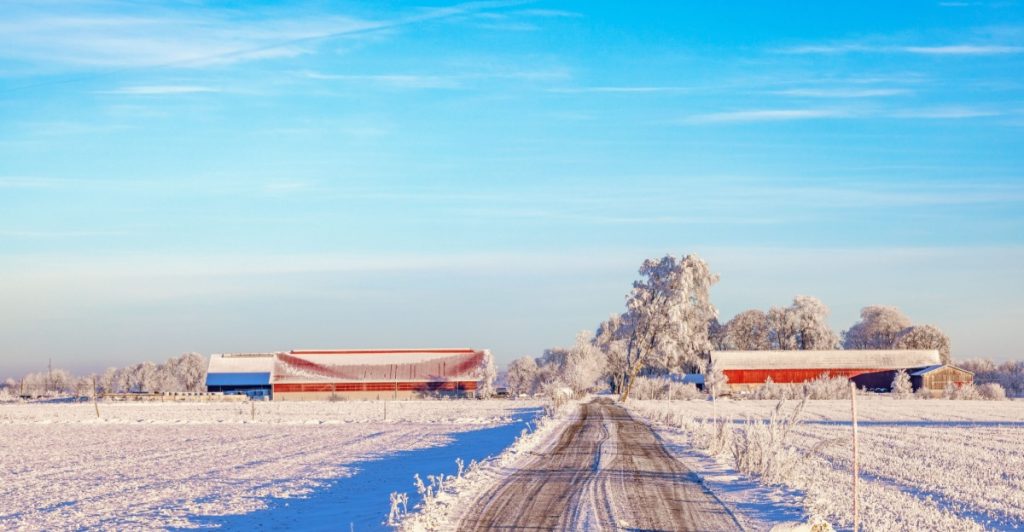 Winter, vinter, snow