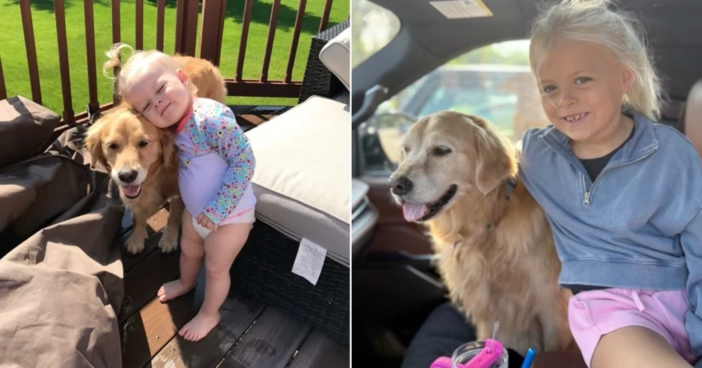 Pige ville ikke tale om afdød hund: Men så tjekkede mor hendes iPad