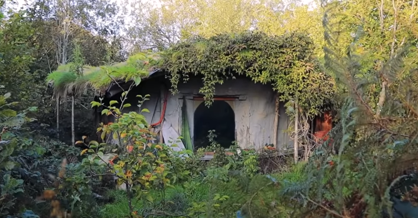 Emma byggde ett hus i skogen för bara cirka 10.000 kronor – vänta tills du ser insidan