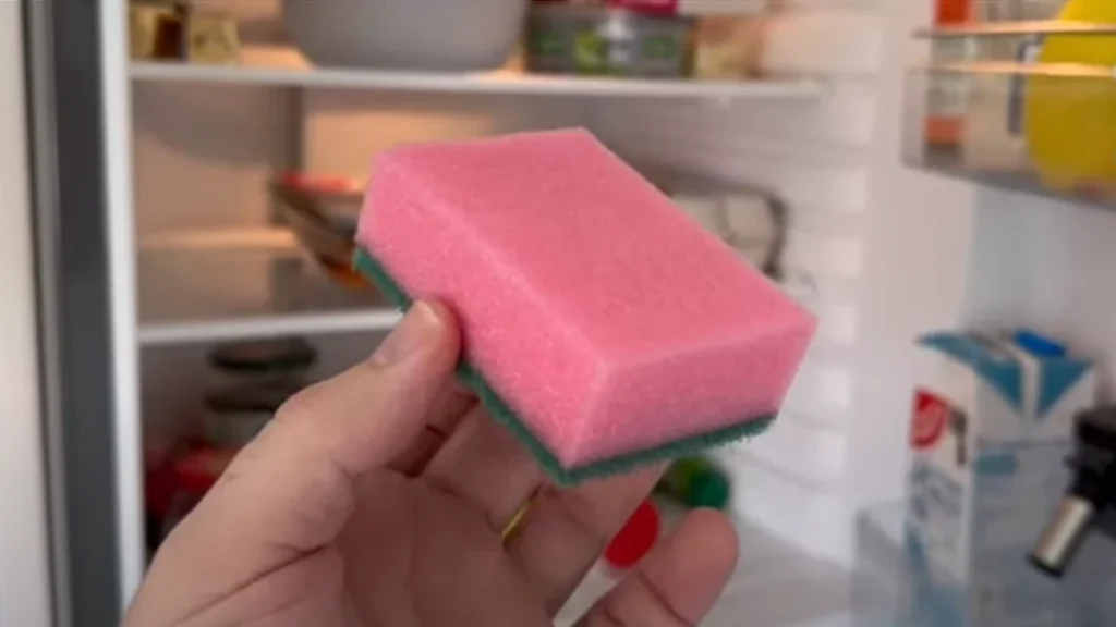 Få känner till det: Det här betyder färgen på din disksvamp