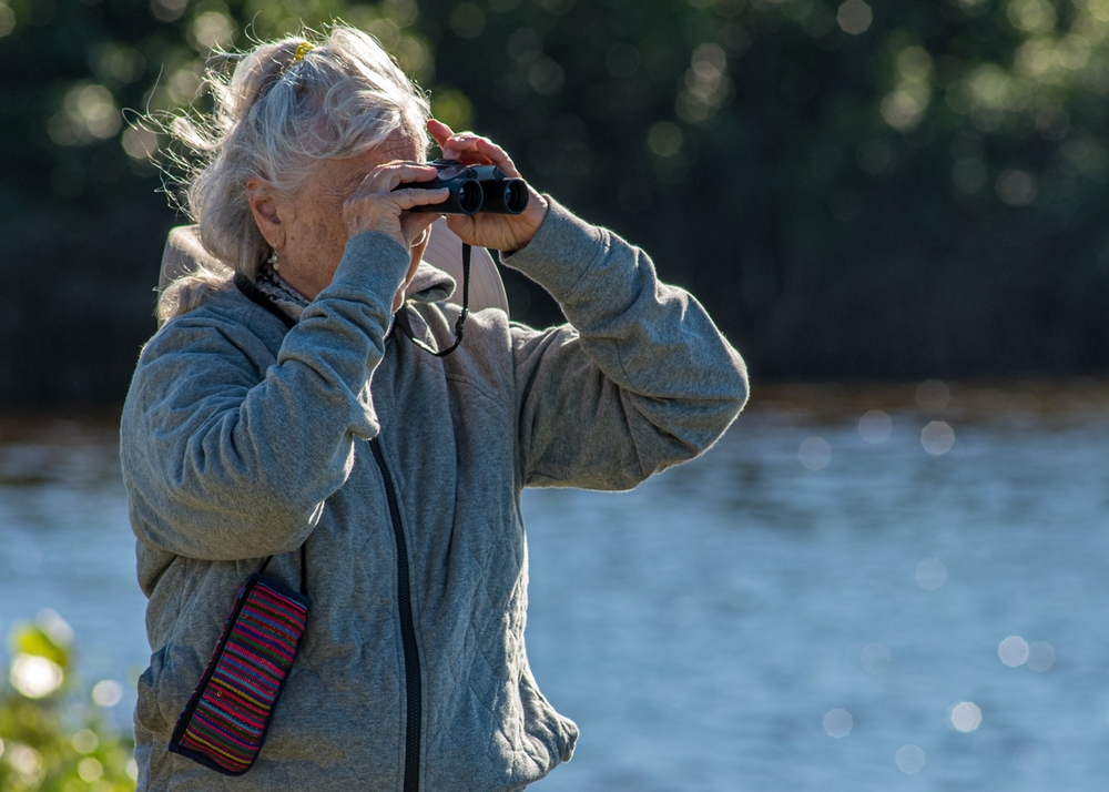 Ekstrem sjælden rovfugls skæbne i Danmark uvis: Alt afhænger af dette