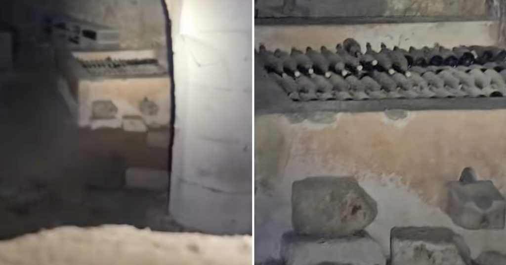 Mand besøger forladt slot: Får et chok over, hvad han finder i kælderen