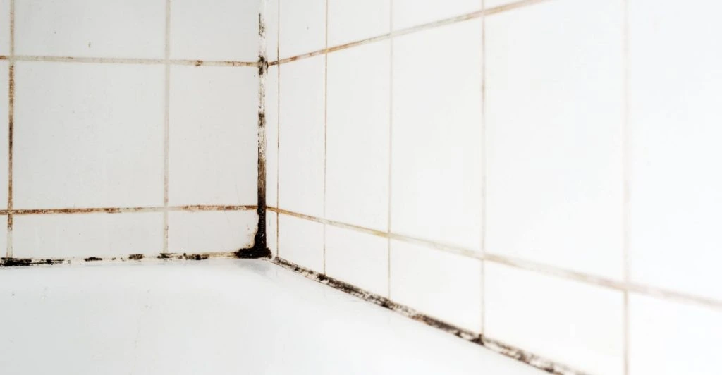 Mould, bathroom