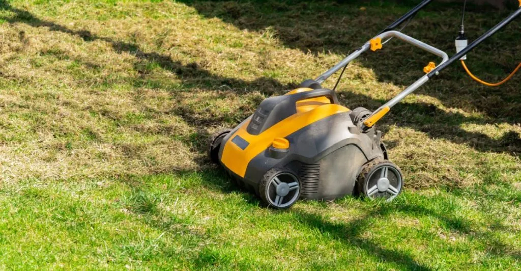 Lawn, gräsmatta, gräsklippare