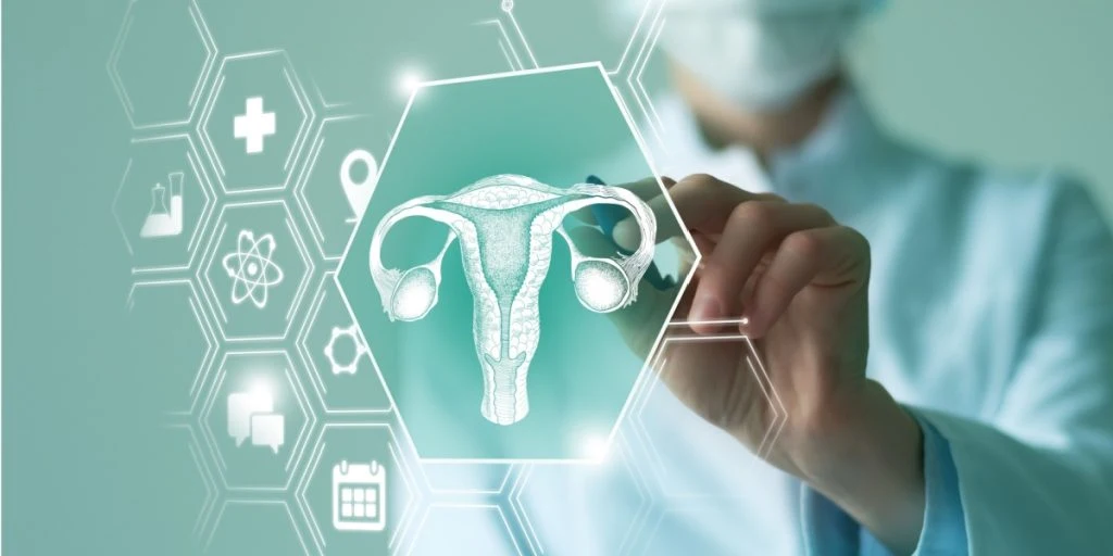 Russia’s fertility slump makes adult websites a political target