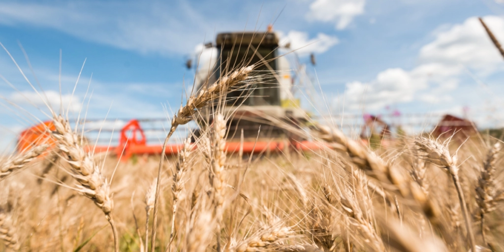 Harvest, food, shortage