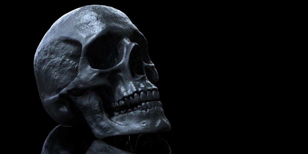 skull, kranie, death, dead, cranium