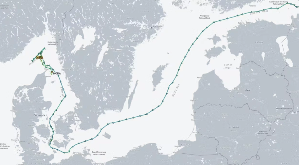 226 meter langt containerskib standset af danske myndigheder: Har disse dystre forbindelser