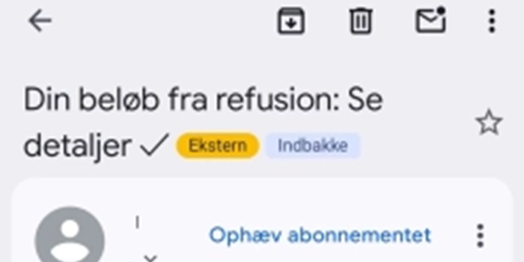 En svindelmail, som Mit digitale selvforsvar, advarer imod