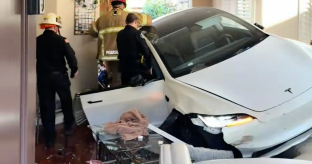 Mand bestilte mad til levering: Endte med Tesla midt i stuen