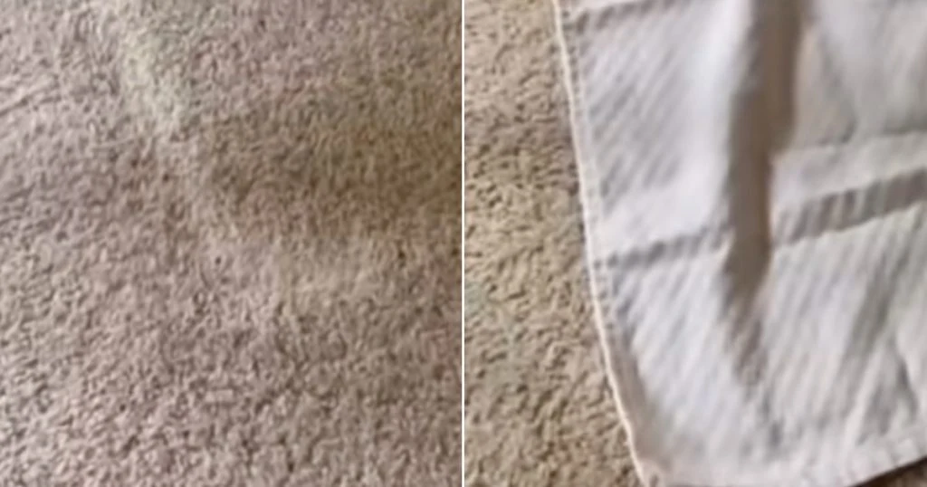 Få genstridige mærker i tæpper til at forsvinde: Kræver kun to almindelige ting