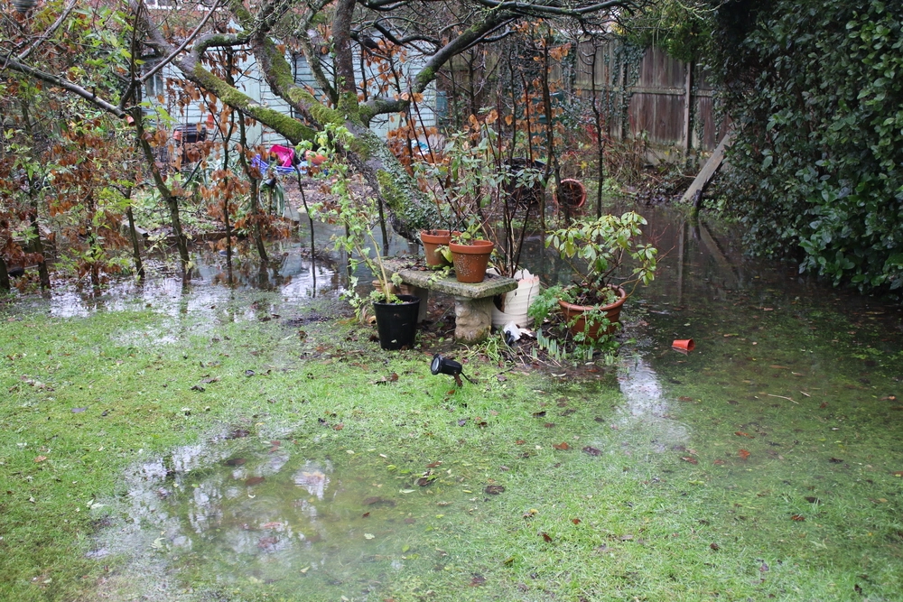 Tøvejr kan blive livsfarligt for truet dyreart