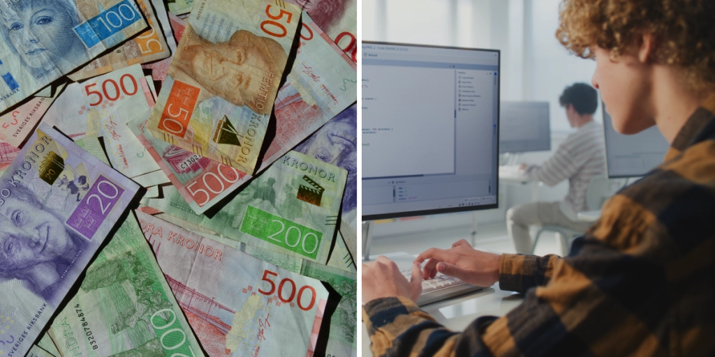 Svenska pengar, person vid dator