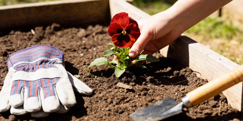 Trädgård, trädgårdsarbete