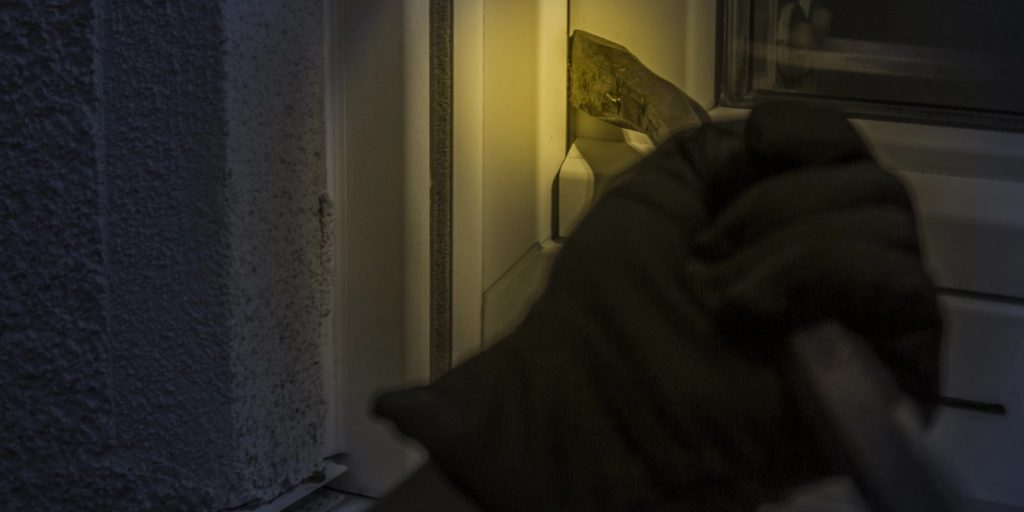 Dette er tyvenes favoritter i norske hjem