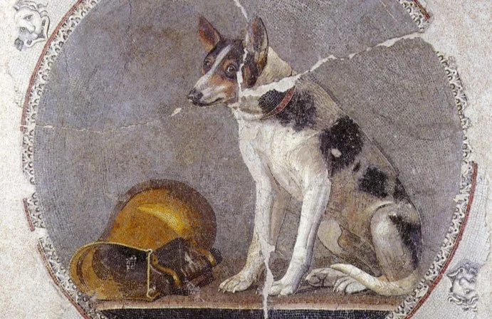 Neue DNA-Beweise verschieben den Ursprung der Hunde