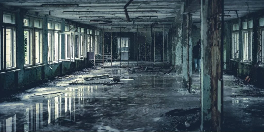 Tschernobyl-Organismus wirft neue Fragen in der Strahlenbiologie auf