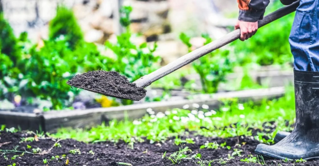 Garden, trädgård, havearbejde