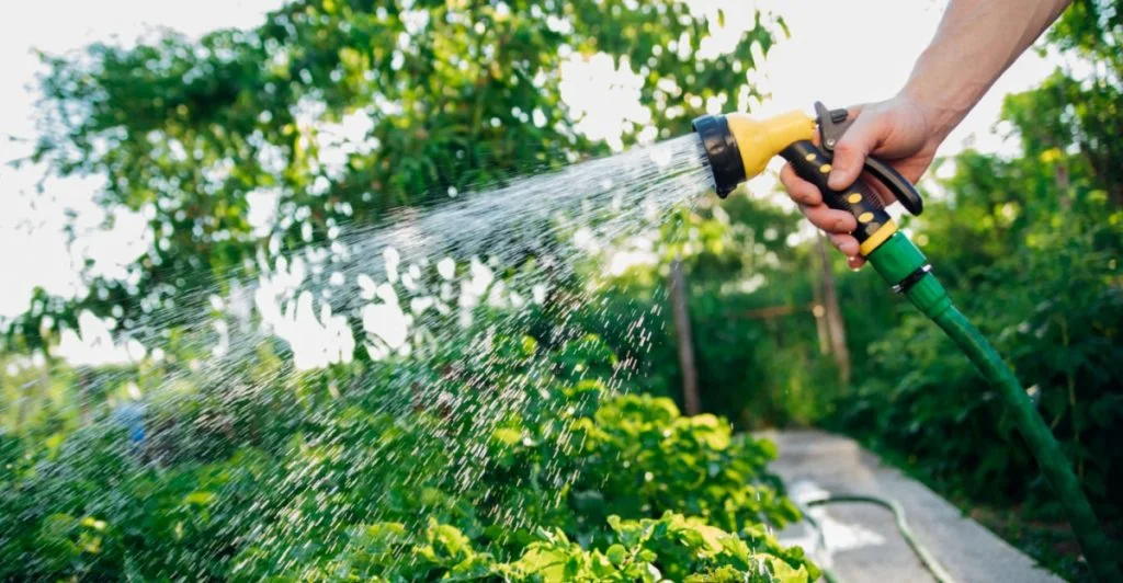 Vandslange, vattenslang