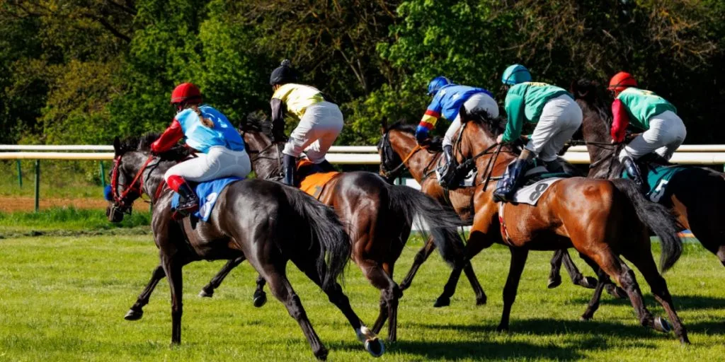 heste væddeløb, horse racing