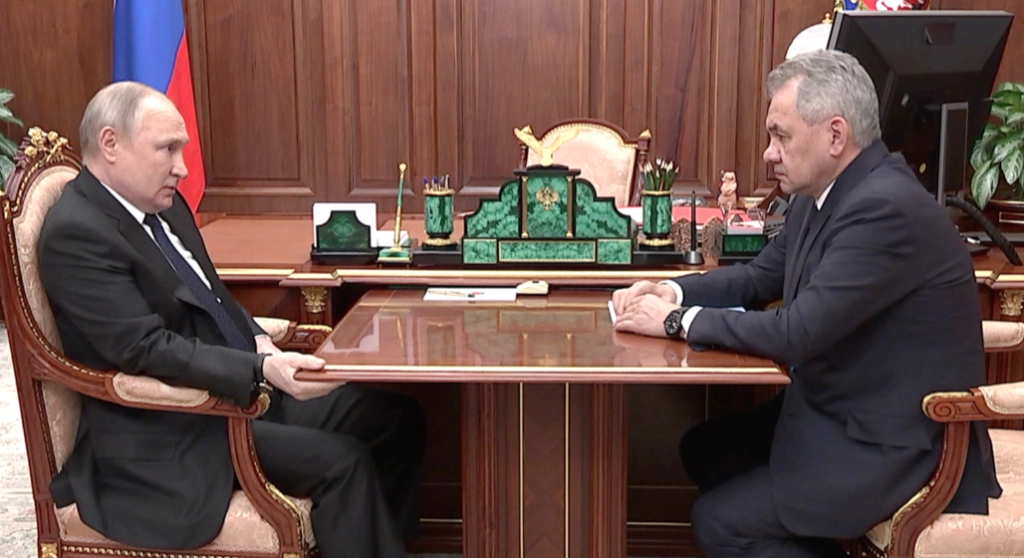 Sergei Shoigu, Vladimir Putin