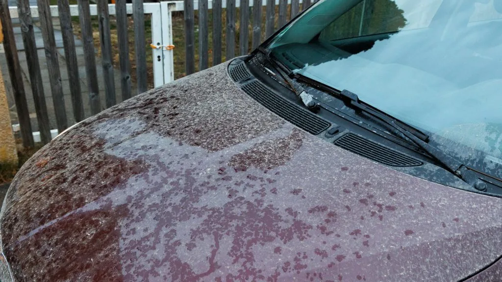 Pludseligt vejrskifte: Sjældent fænomen kan ramme Danmark lørdag