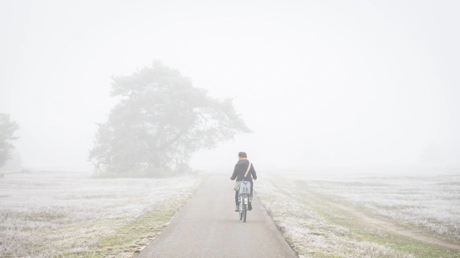DMI udsender vejrvarsel til halvdelen af landet: Her bliver det værst
