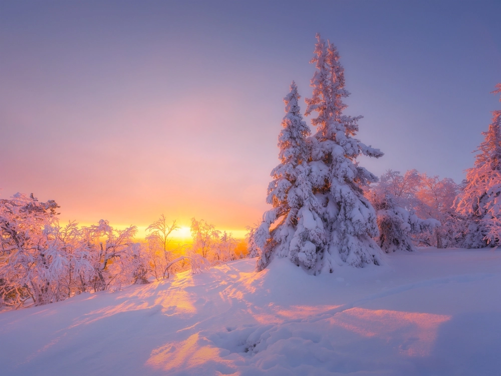 Snow, winter, sunset Norway, solnedgang Norge, vinterlandskab, sne, snø