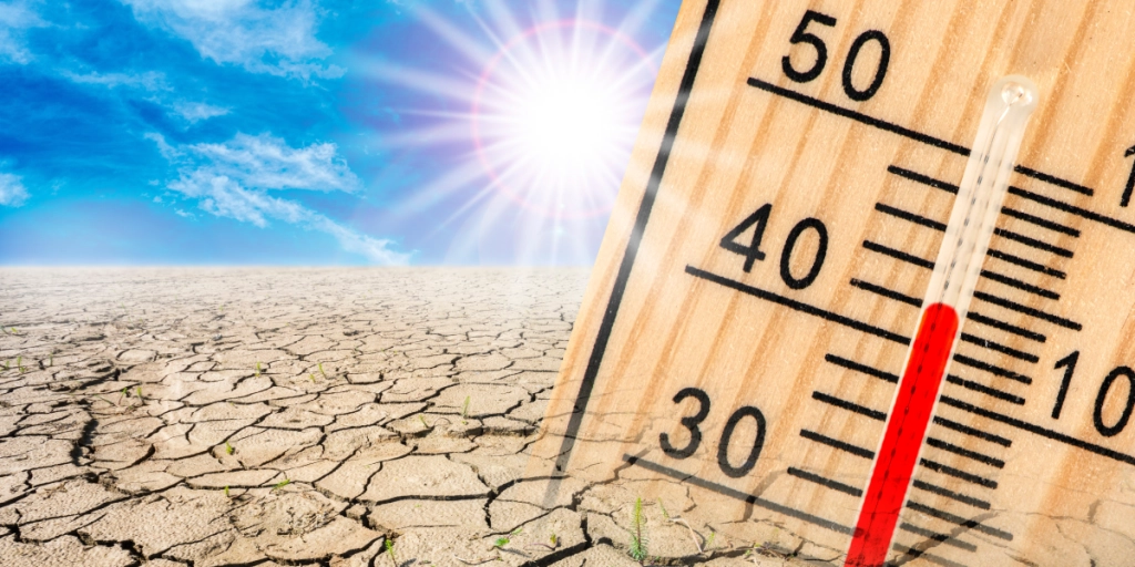 Forskare slår larm: Rekordtemperaturer att vänta inom kort