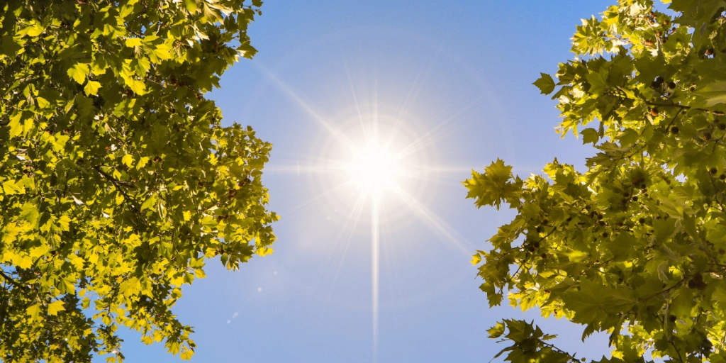 Sol, Sommar, Sommer, Summer