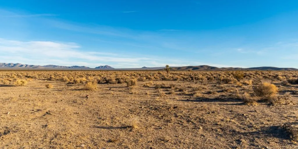 Ältere Immobilienmaklerin tot in der Wüste gefunden – Ermittlungen fehlen Antworten