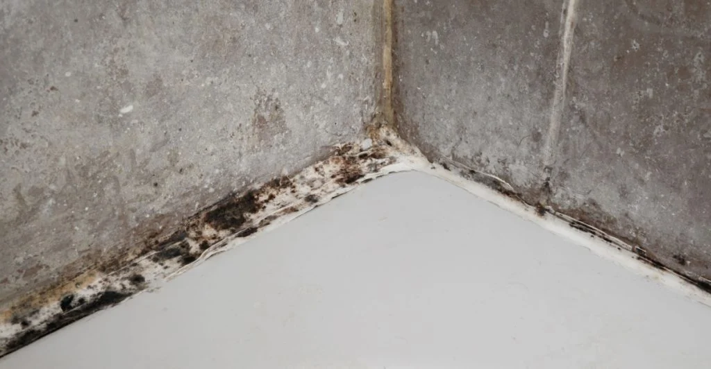 Mould bathroom
