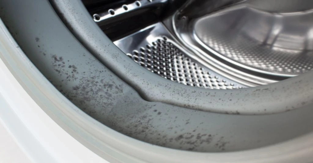 Mould, washing machine, mug