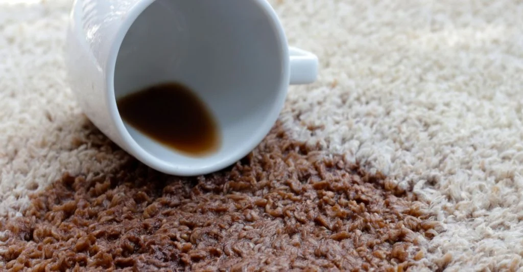 Har du detta i badrummet? Det kan rädda din matta på minuter