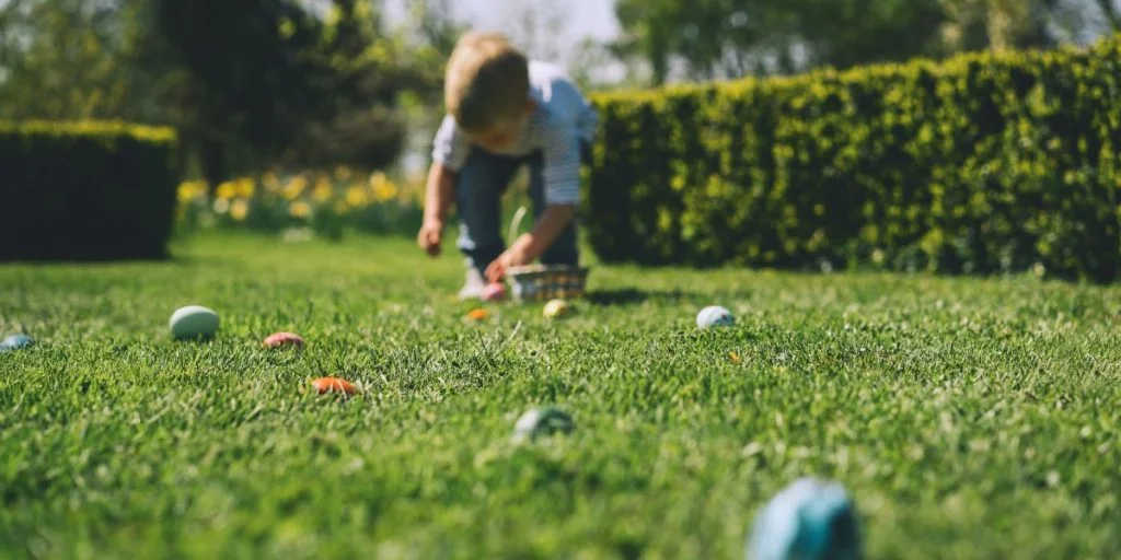 easter egg påske æg hunt påskejagt æggejagt