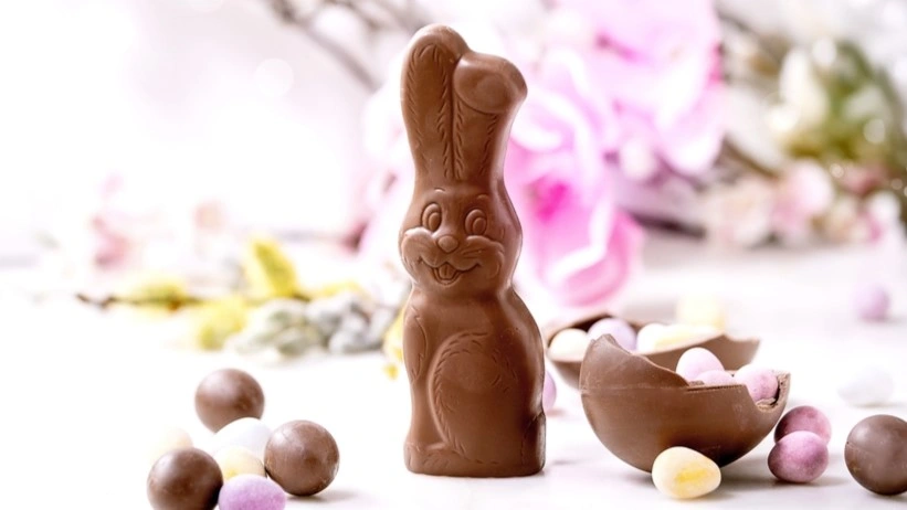 påske, easter bunny chokolade