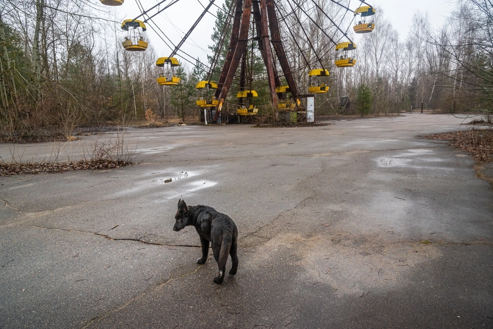 Pripyat,,Chernobyl,Exclusion,Zone,,Ukraine