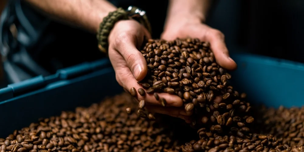 Stor undersøgelse viser: Her får du de bedste kaffebønner i discountbutikkerne