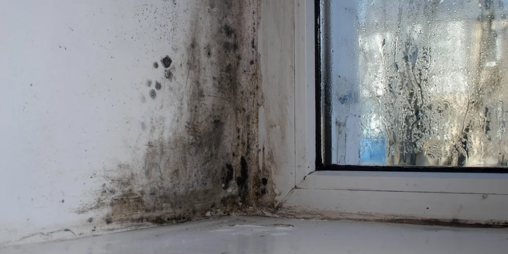 Døjer du med indeklimaet? Simpelt trick kan afsløre fugt i væggene