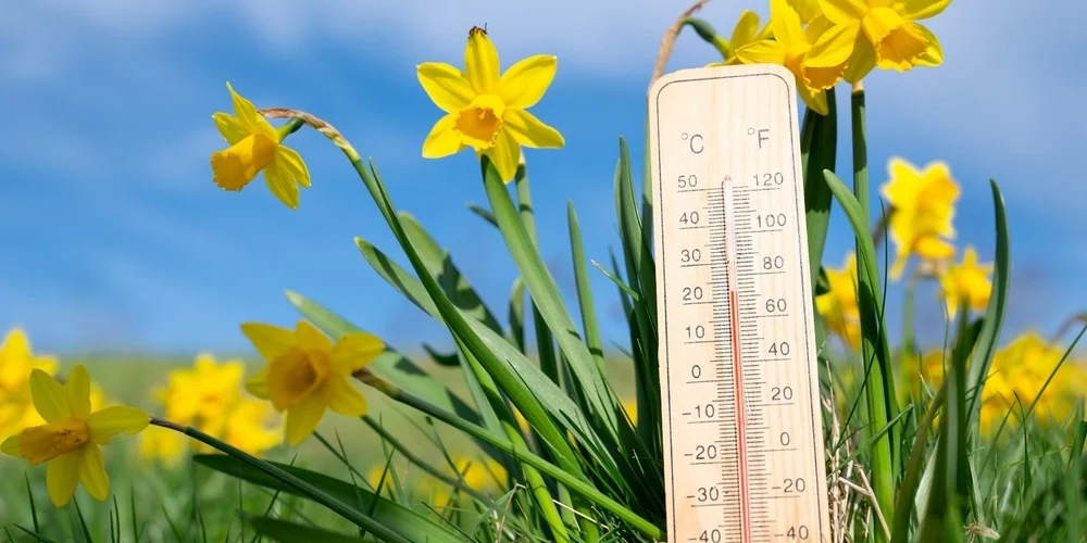 termometer viser temperatur på 20 grader og solen skinner med blomster
