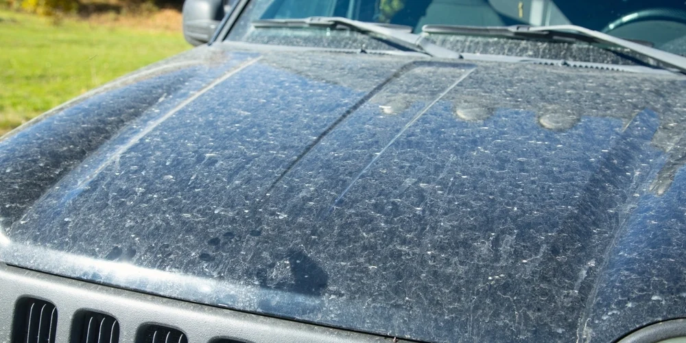 Saharasand på vej til Danmark: Sådan beskytter du din bil mod det særlige fænomen