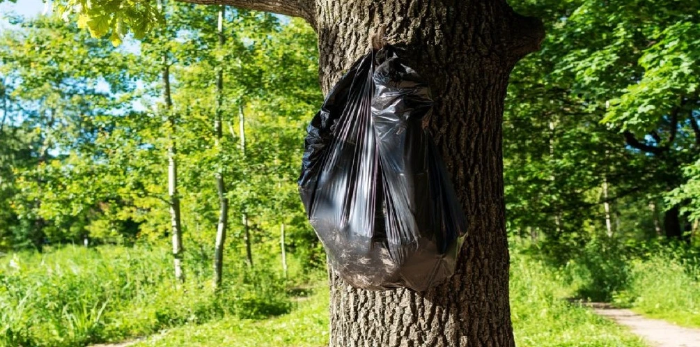 plastikpose hænger i træ