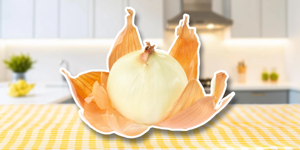 Lök, Løg, Onion