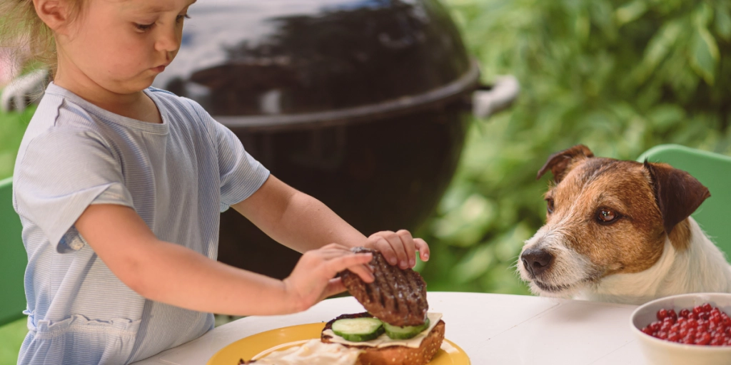 Advarsel til alle dyreeiere: Pass på dette under grillsesongen