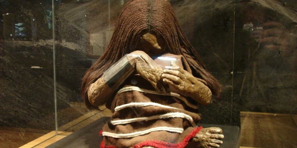 A photo of the replica of the Plomo Mummy on display at the Museo Nacional de Historia Natural in Santiago, Chile.