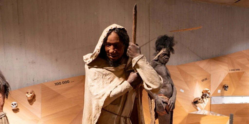 Ancient encounters reshapes the story of Neanderthals