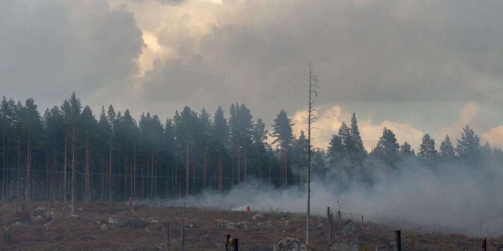 Swedish forest fires 2018, forest fire, wildfire, skovbrand