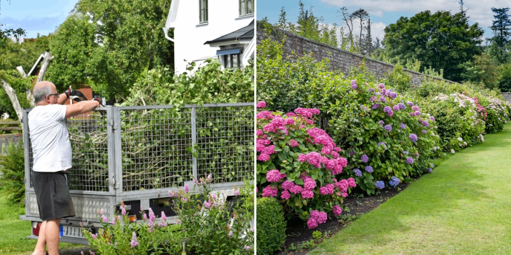 Trädgård, Have, Garden